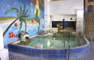 ⑮ アクアドルフィンランド