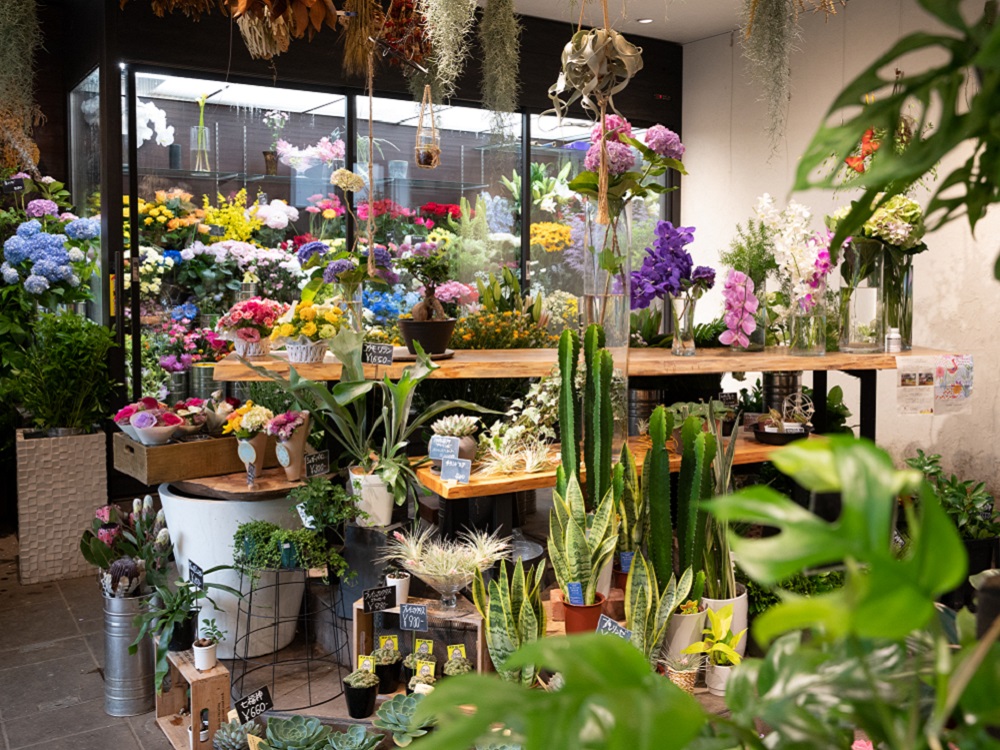 ⑲ ハナヒデ花園