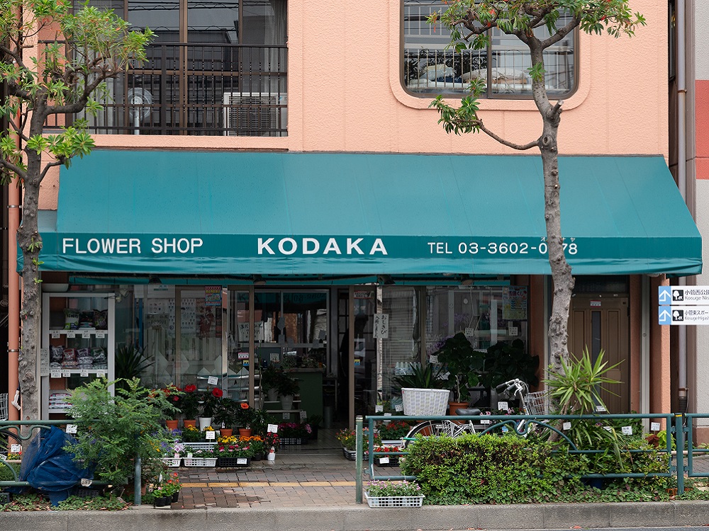 51 フラワーショップ コダカ